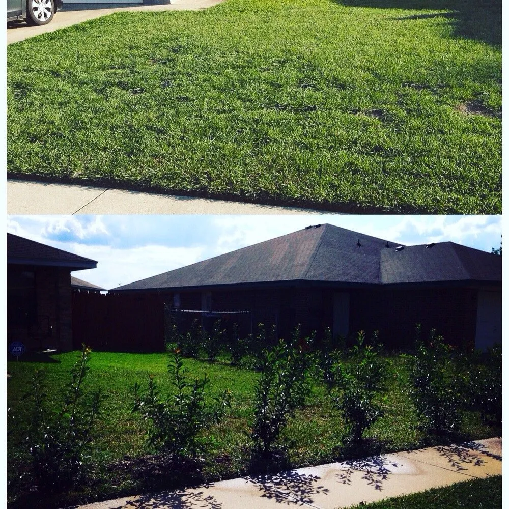 Trusted yard maintenance in Harker Heights, TX by TPG Lawn Care