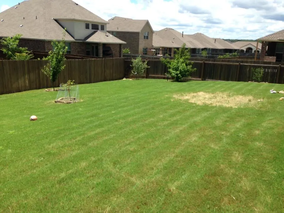 Expert landscape design in Harker Heights, TX by TPG Lawn Care
