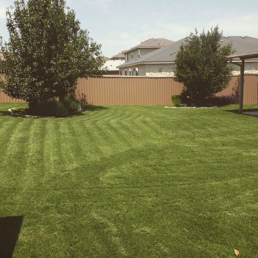 Top-rated lawn mowing service in Harker Heights, TX by TPG Lawn Care