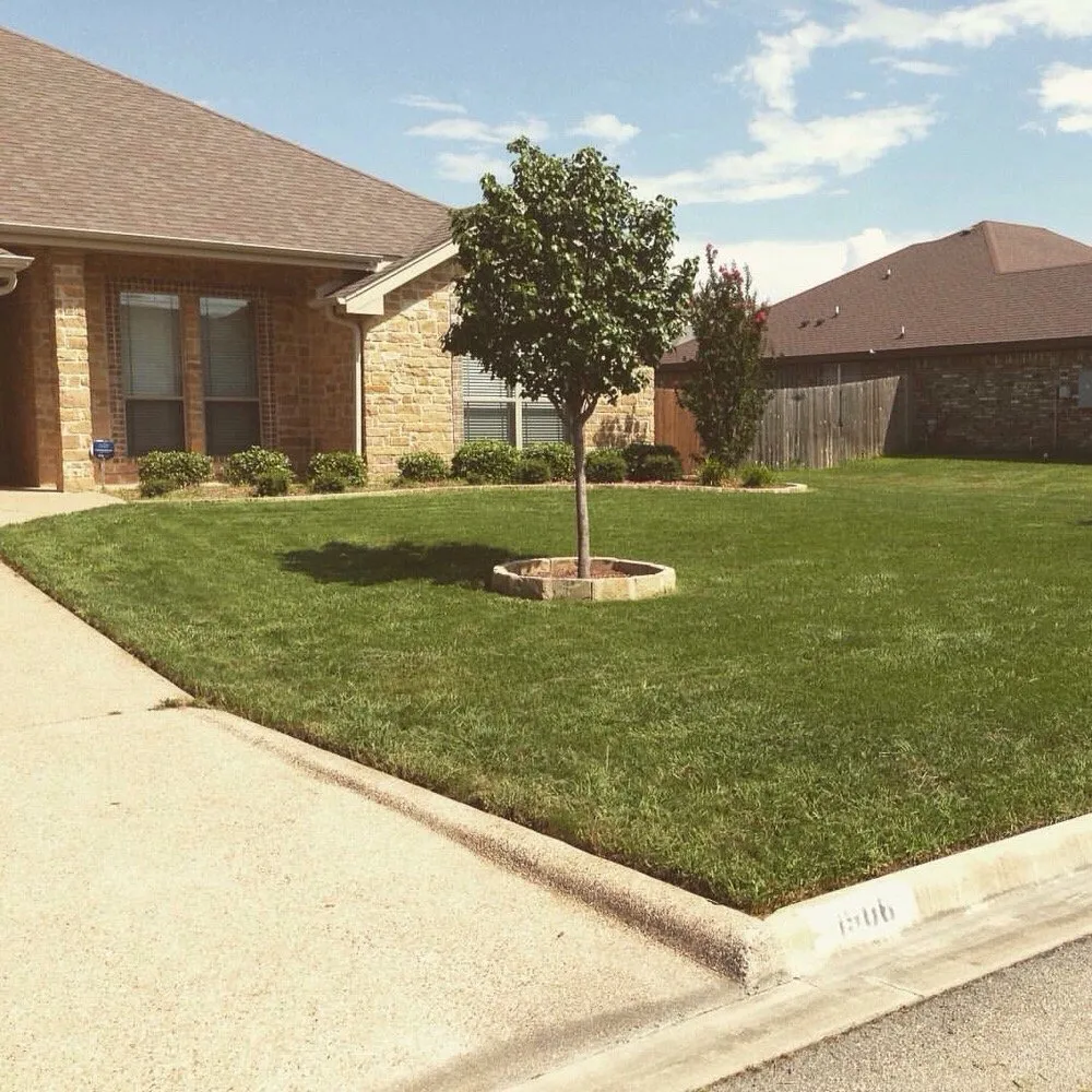 Local lawn care service near you across Harker Heights, TX - TPG Lawn Care