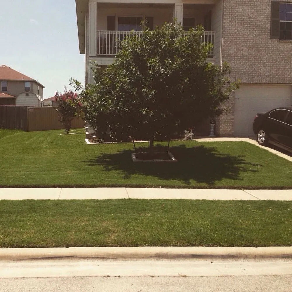 Top-rated landscape installation experts serving Harker Heights, TX - TPG Lawn Care