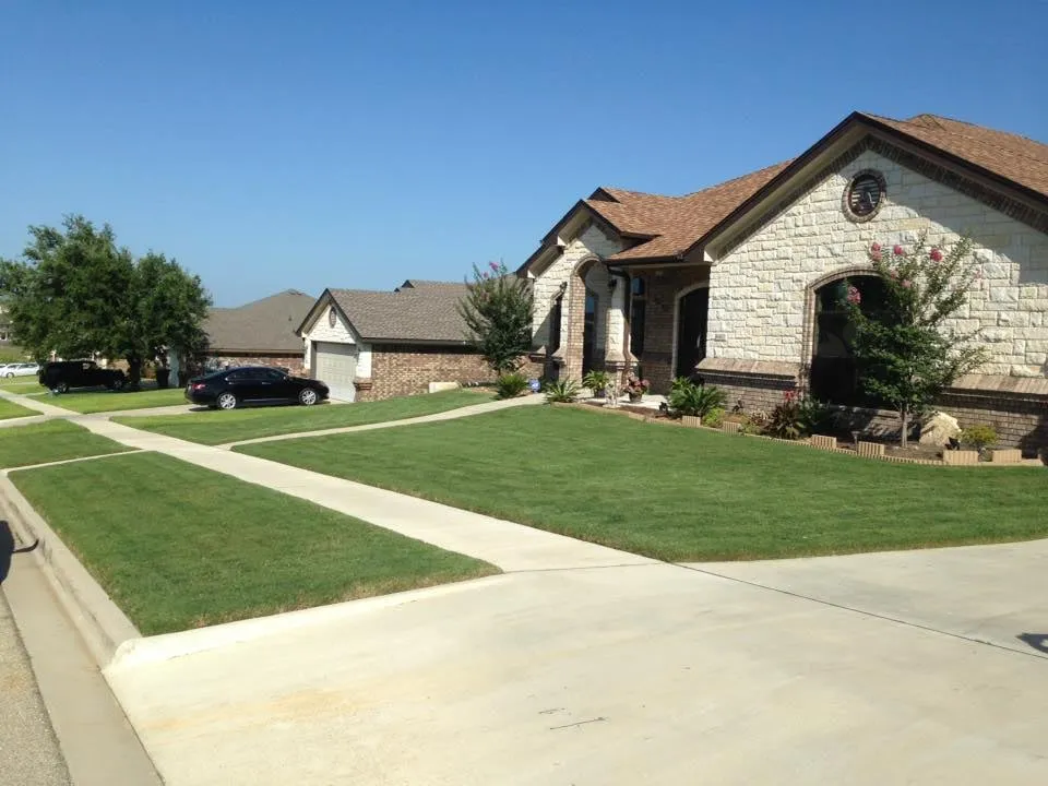 Professional yard cleanup service with custom design in Harker Heights, TX by TPG Lawn Care