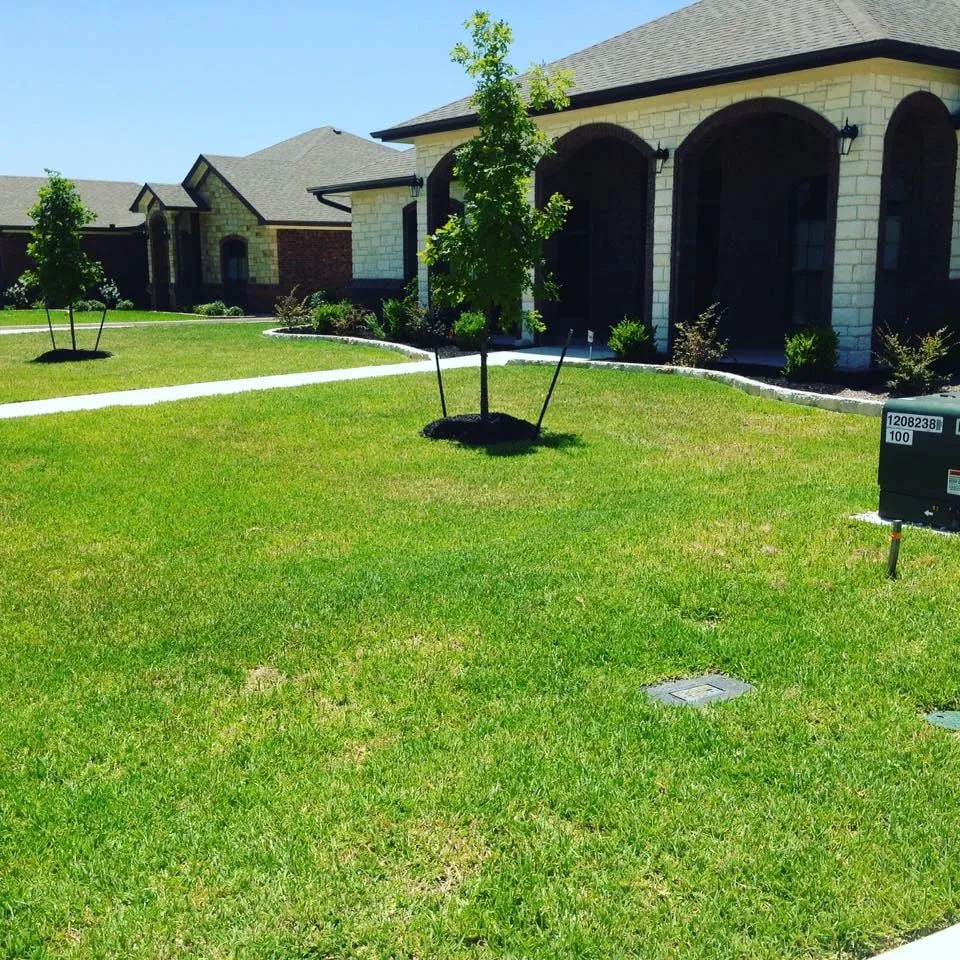 Custom lawn mowing service for year-round maintenance in Harker Heights, TX by TPG Lawn Care