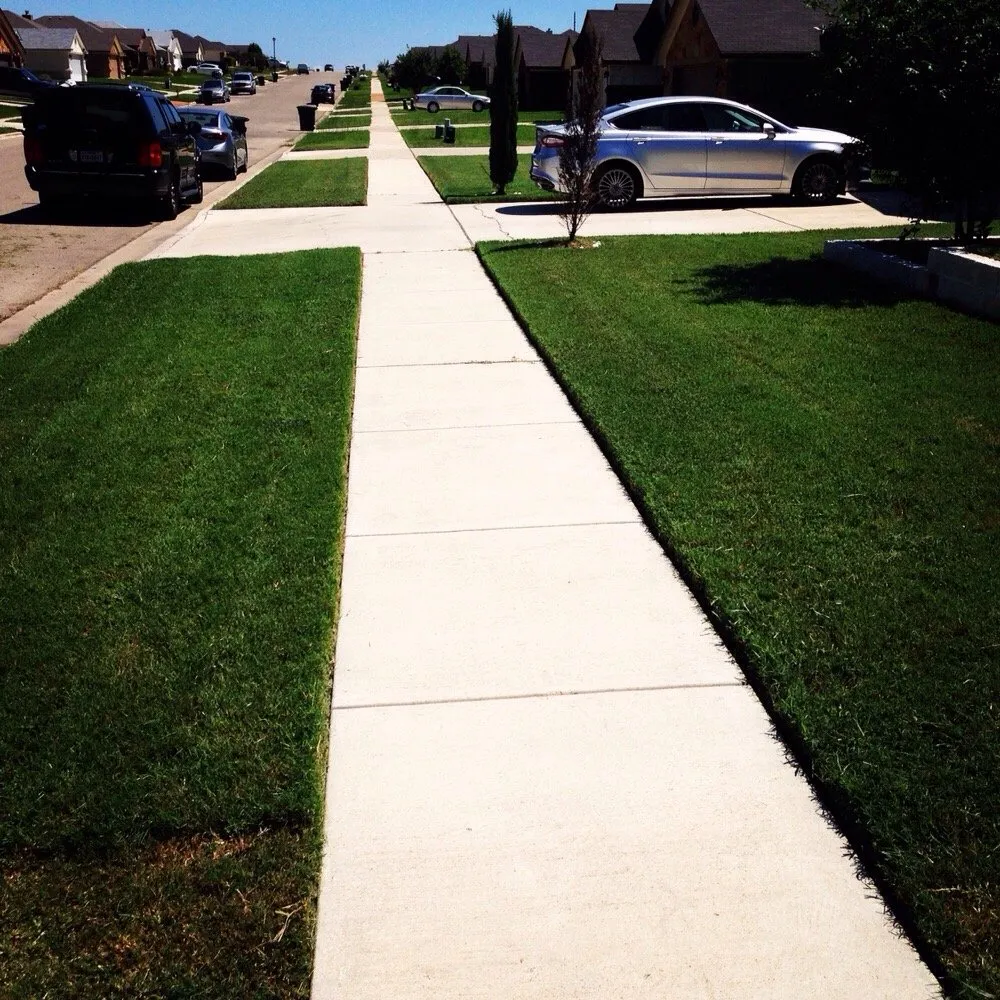 Affordable yard cleanup service for residential properties in Harker Heights, TX by TPG Lawn Care