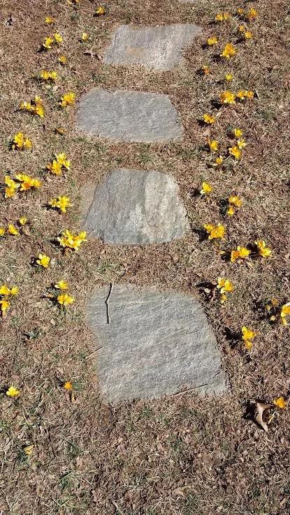 Reliable lawn mowing service experts serving Asheville, NC - TPI Landscape Service