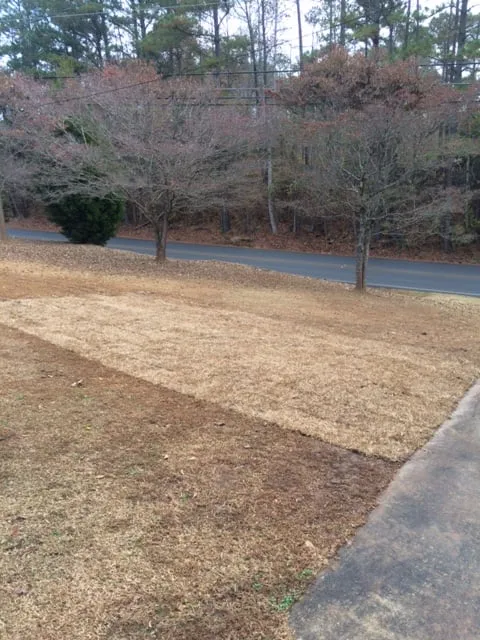 Custom residential landscaping in Hampton, GA - TPL Construction Landscaping, Inc