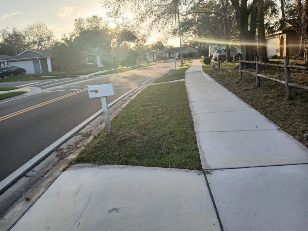 Professional landscape design experts serving Oldsmar, FL - Tpm Lawn Care