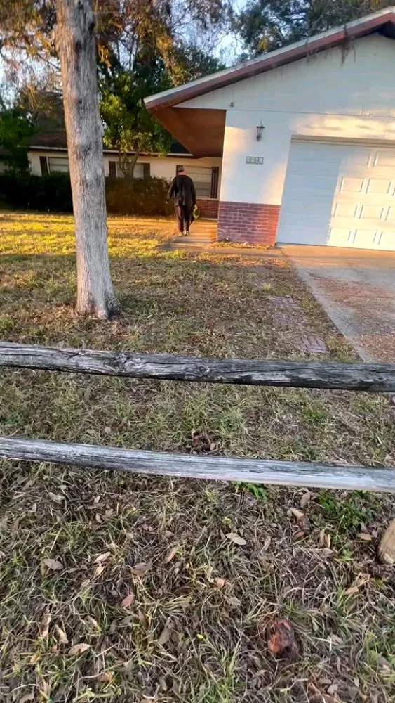 Top-rated yard cleanup service for residential properties across Oldsmar, FL - Tpm Lawn Care