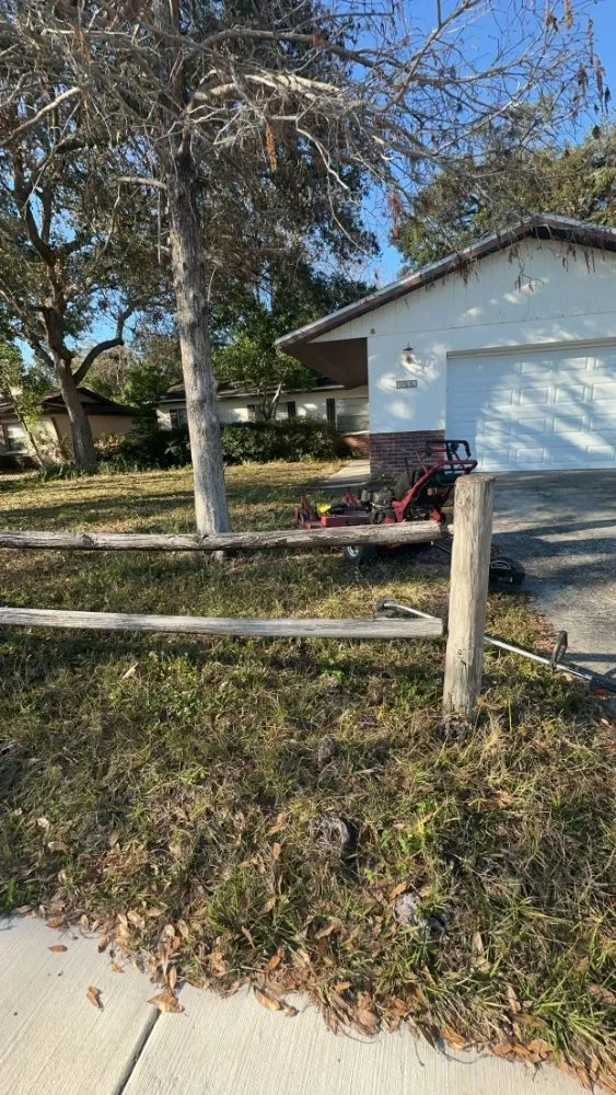 Local yard cleanup service in Oldsmar, FL - Tpm Lawn Care