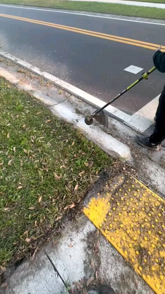 Local lawn care service experts serving Oldsmar, FL - Tpm Lawn Care