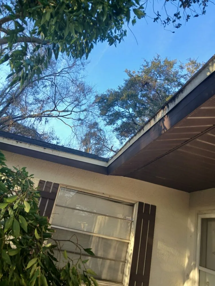 Top-rated landscape installation in Oldsmar, FL - Tpm Lawn Care