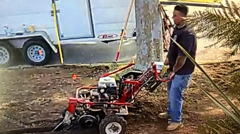 Professional yard maintenance experts serving Buena Park, CA - TPS Landscaping