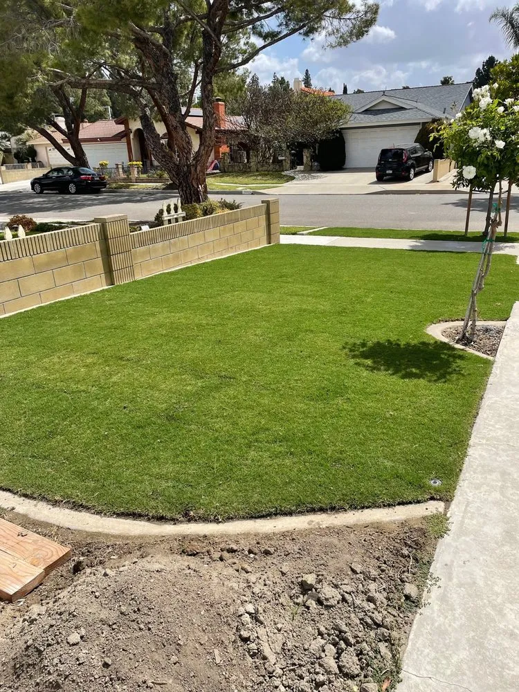 Expert residential landscaping in Buena Park, CA - TPS Landscaping