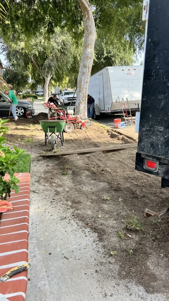 Trusted yard cleanup service experts serving Buena Park, CA - TPS Landscaping