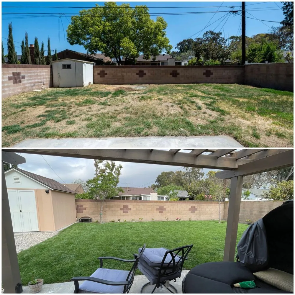 Trusted landscape design in Buena Park, CA - TPS Landscaping