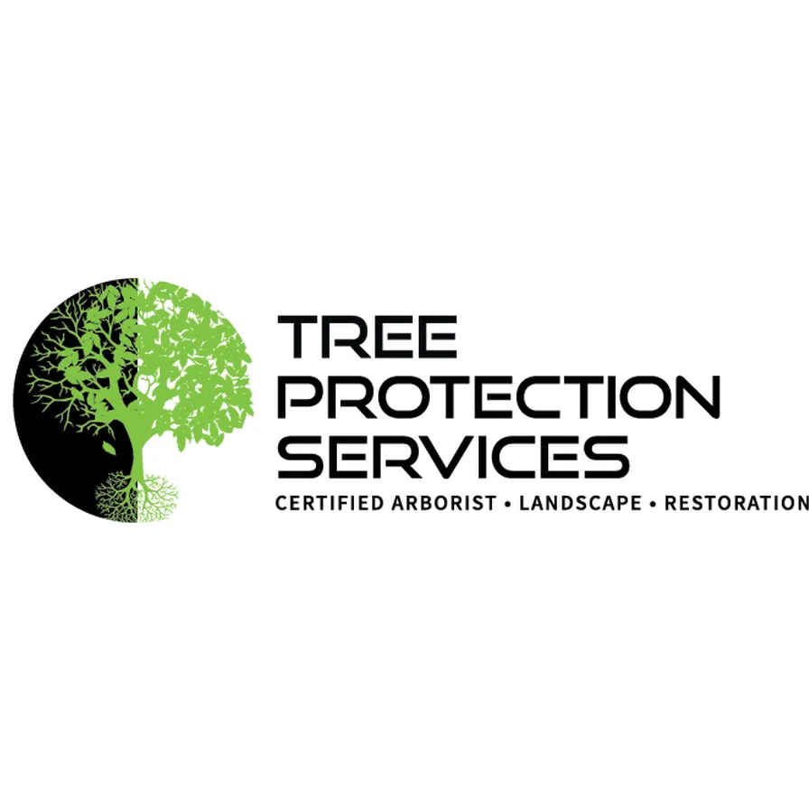 Custom lawn mowing service for year-round maintenance across Queen Creek, AZ - TPS Landscaping