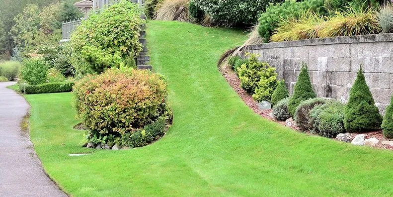 Expert garden landscaping in Queen Creek, AZ by TPS Landscaping