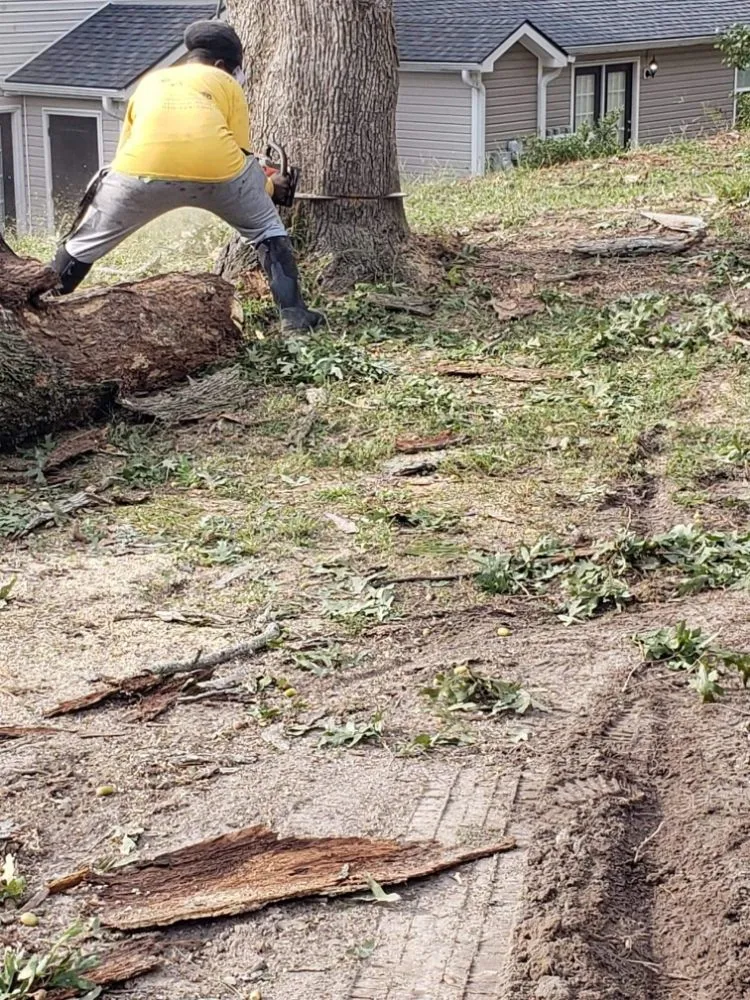 Affordable landscaping services near you in Lillington, NC by TQC Landscaping And Construction LLC