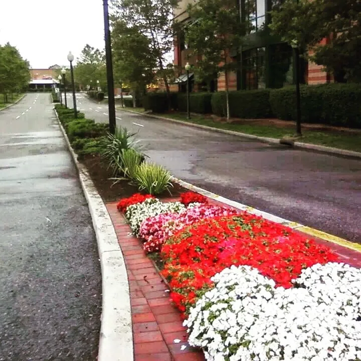 Reliable outdoor landscaping experts serving Paramus, NJ - TQS Landscaping