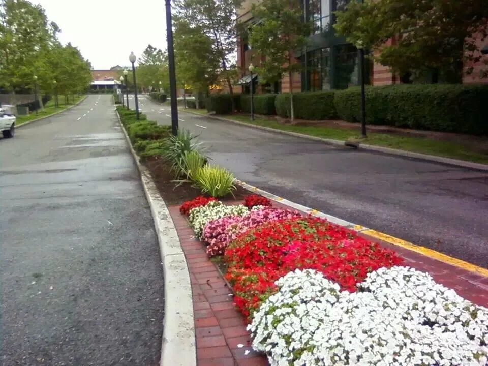 Expert landscape installation for residential properties in Paramus, NJ by TQS Landscaping