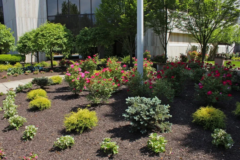 Professional landscaping services in Paramus, NJ by TQS Landscaping