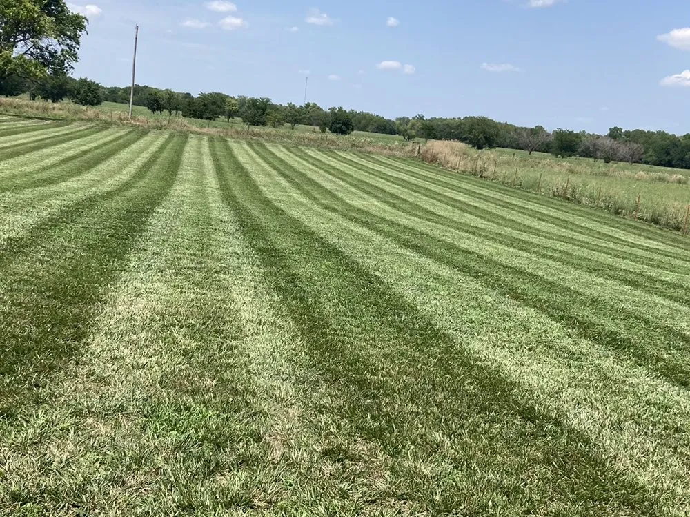 Affordable lawn care service for year-round maintenance in Girard, KS by TR Construction & Lawn Care