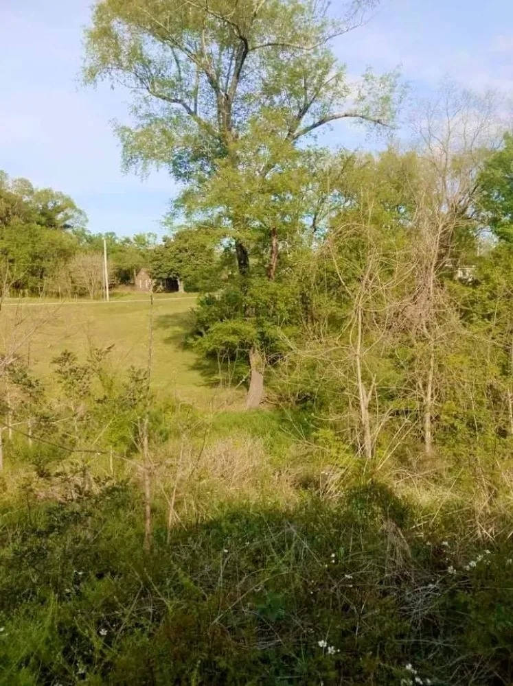 Expert lawn mowing service for outdoor upgrades in Florence, AL by T&R Land Clearing and Excavation