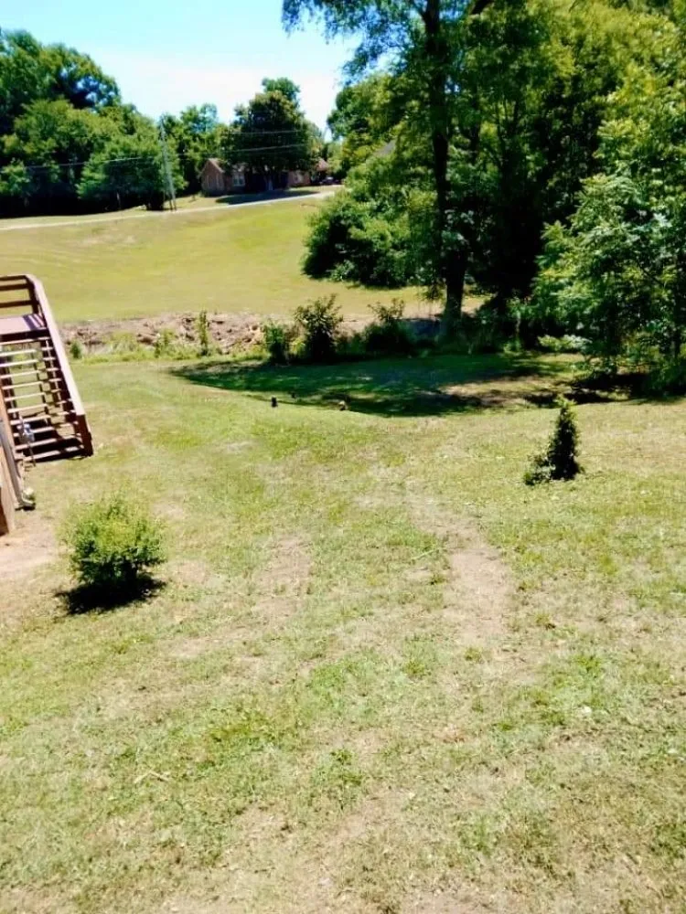 Trusted yard cleanup service in Florence, AL - T&R Land Clearing and Excavation