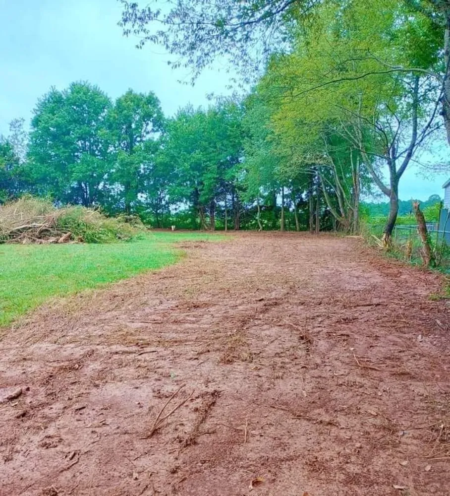 Reliable yard cleanup service experts serving Florence, AL - T&R Land Clearing and Excavation
