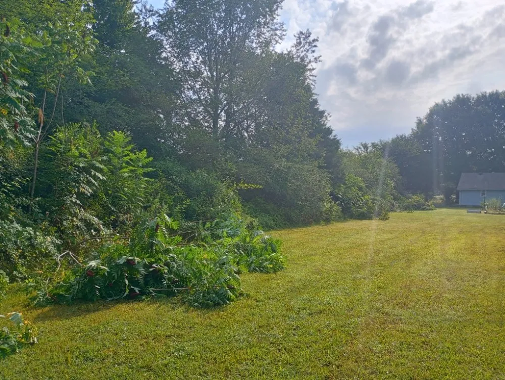 Expert yard cleanup service in Florence, AL - T&R Land Clearing and Excavation