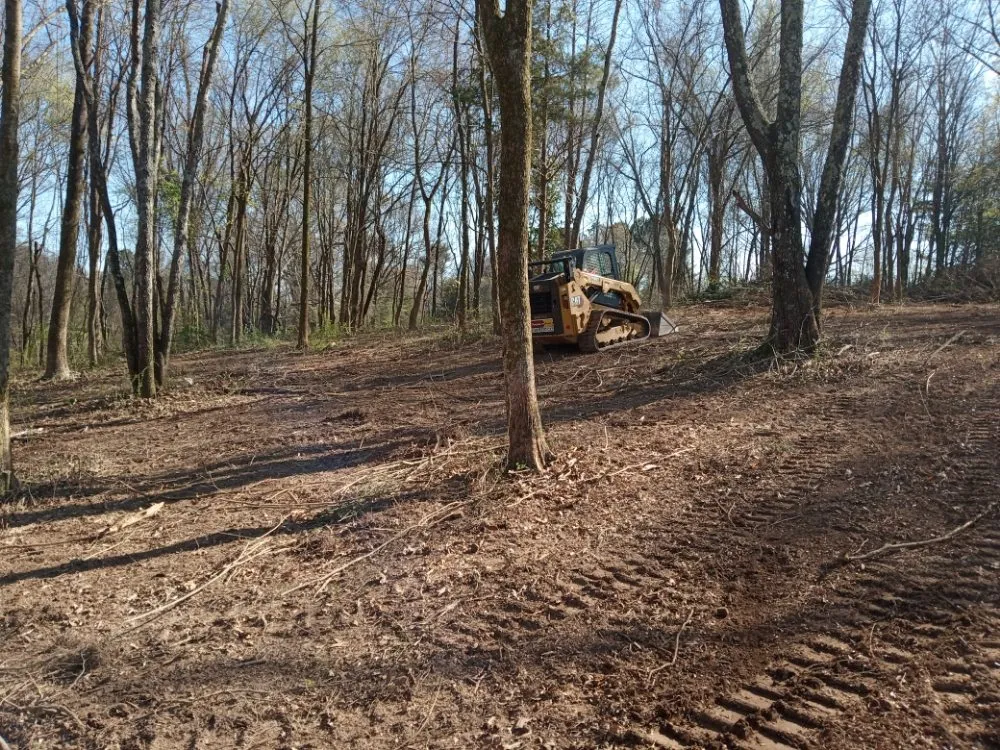 Expert yard maintenance in Florence, AL by T&R Land Clearing and Excavation