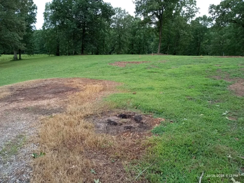 Local yard cleanup service with custom design across Florence, AL - T&R Land Clearing and Excavation