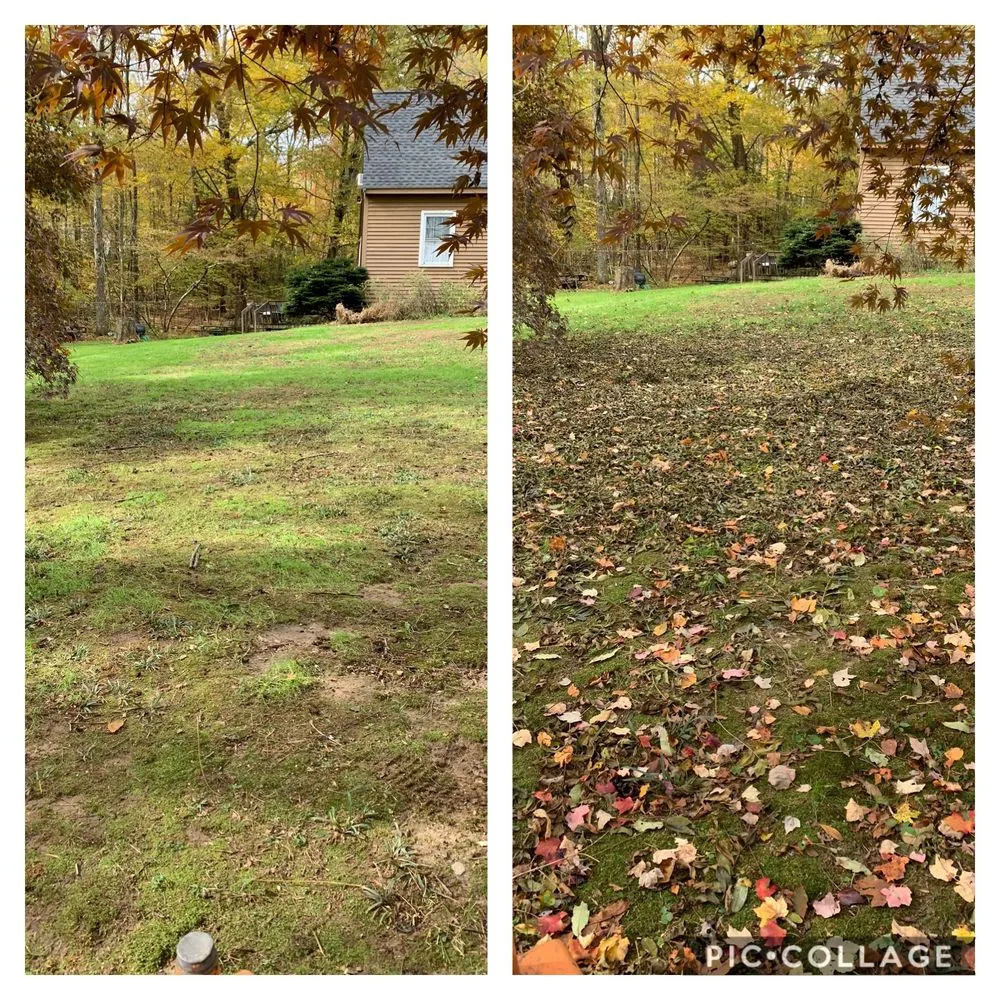 Affordable landscape design in Millbury, MA - T&R Landscaping