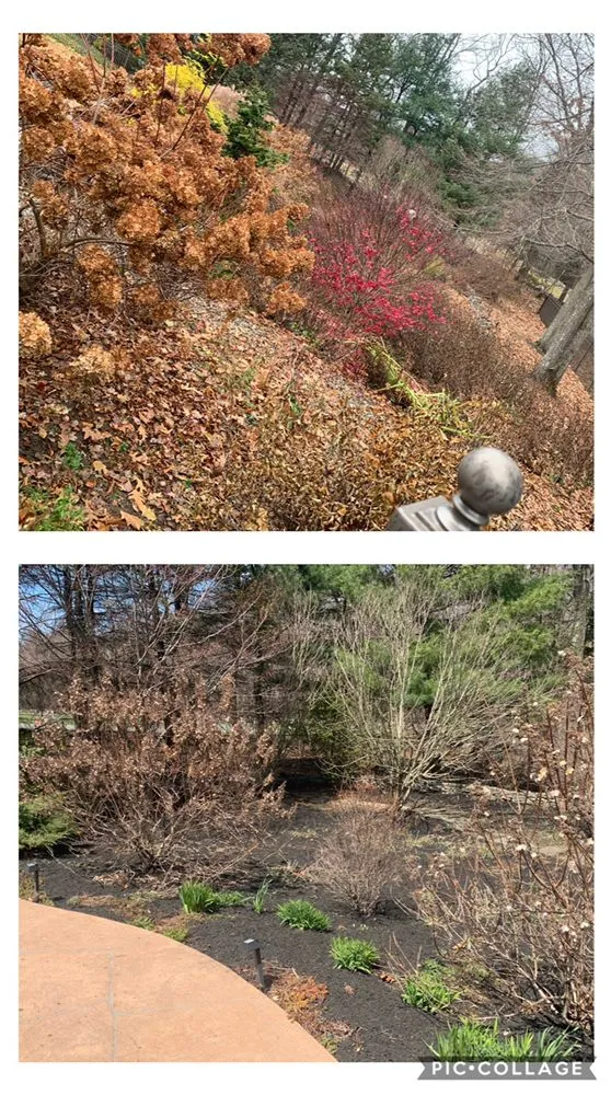 Local yard maintenance experts serving Millbury, MA - T&R Landscaping