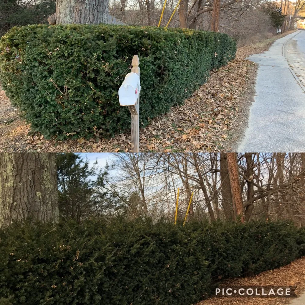 Reliable yard maintenance in Millbury, MA - T&R Landscaping