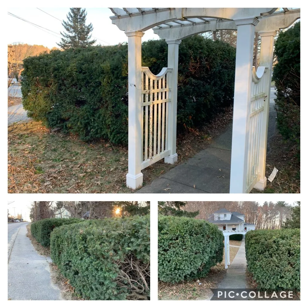 Trusted yard cleanup service experts serving Millbury, MA - T&R Landscaping