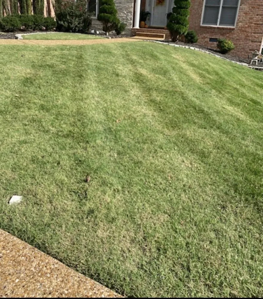 Trusted yard cleanup service experts serving Brentwood, TN - T&R Lawn and Landscape