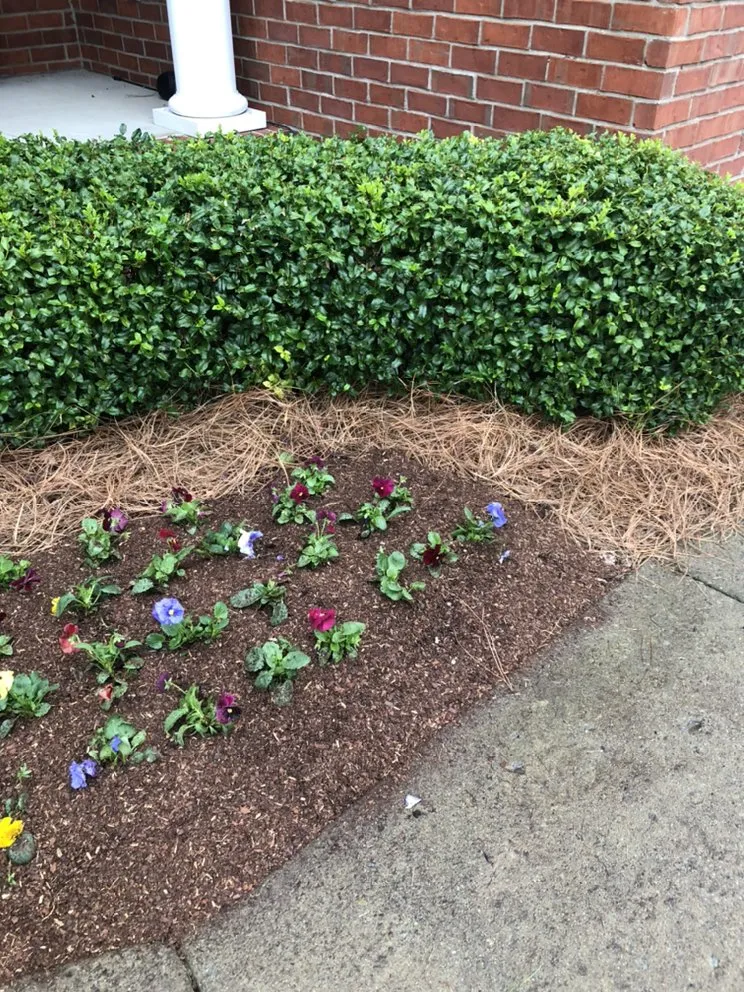 Professional landscape design experts serving Brentwood, TN - T&R Lawn and Landscape