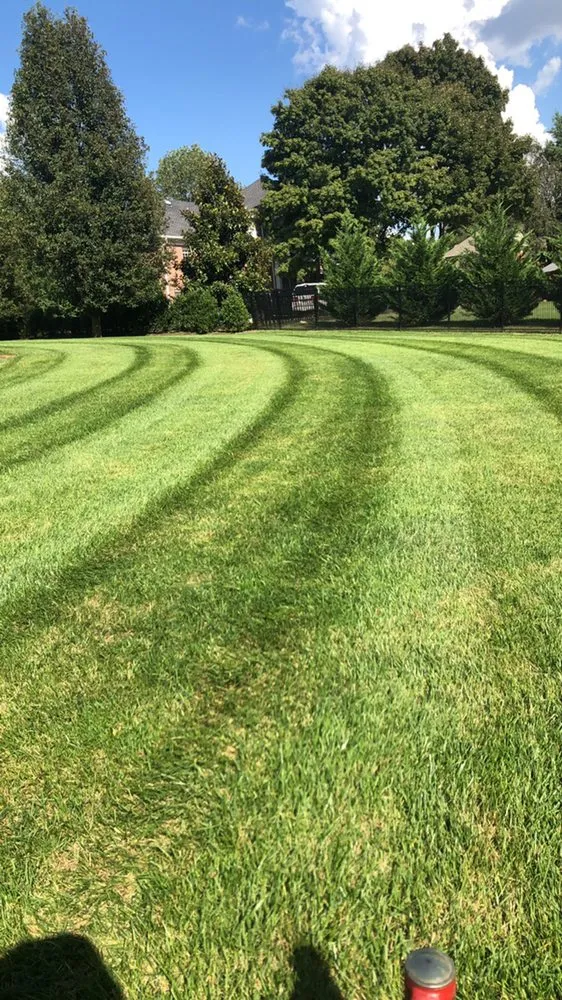 Affordable lawn care service for beautiful yards across Brentwood, TN - T&R Lawn and Landscape