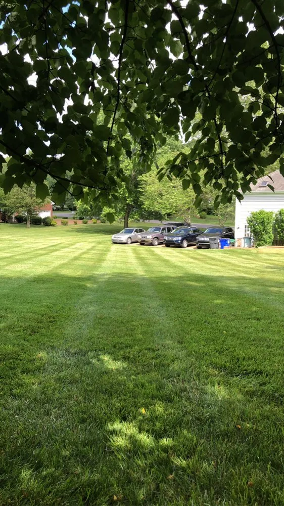 Top-rated landscape installation in Brentwood, TN by T&R Lawn and Landscape
