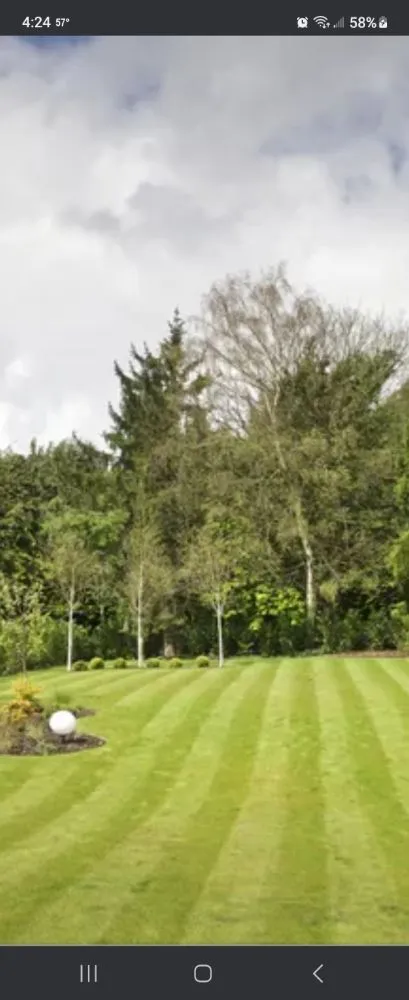 Top-rated yard maintenance experts serving Bowling Green, KY - T&R Lawn Care