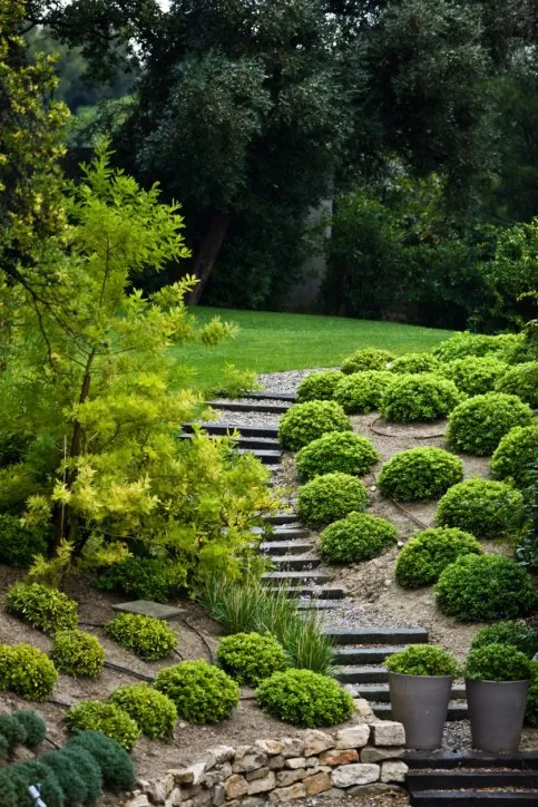 Trusted yard maintenance in Little Rock, AR by T&R lawn care