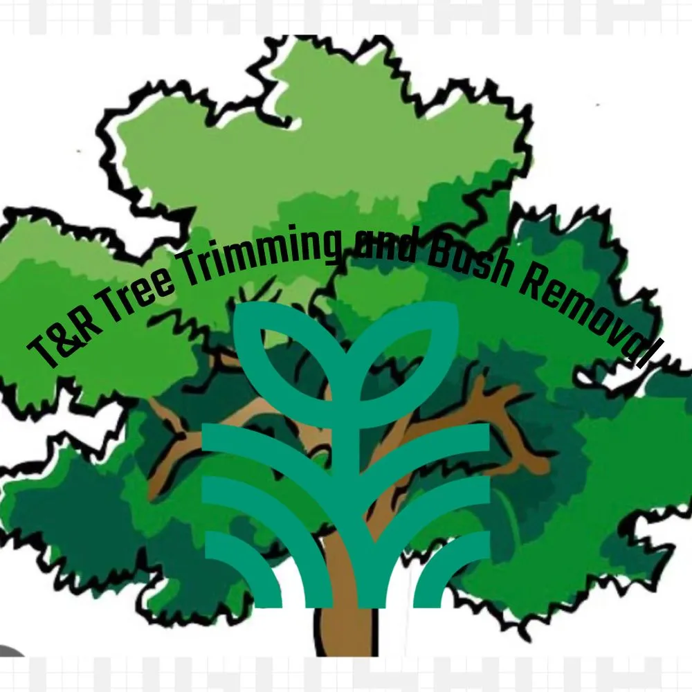 Professional landscape design in River Ridge, LA by T&R Tree Trimming And Bush Removal