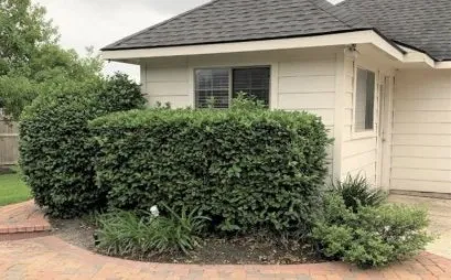 Affordable lawn mowing service in River Ridge, LA - T&R Tree Trimming And Bush Removal