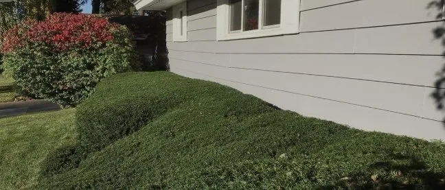 Affordable lawn care service with custom design in River Ridge, LA by T&R Tree Trimming And Bush Removal