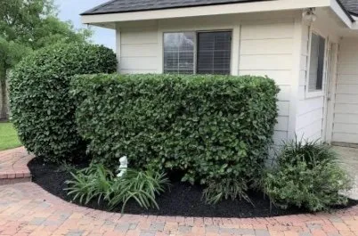 Trusted garden landscaping experts serving River Ridge, LA - T&R Tree Trimming And Bush Removal