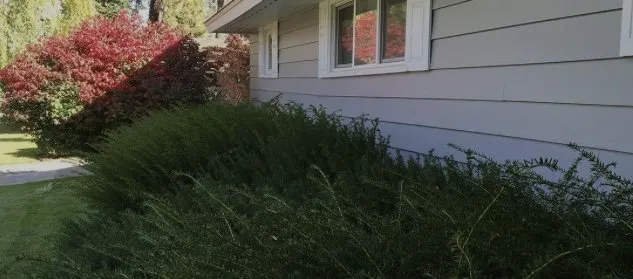 Reliable lawn care service with custom design in River Ridge, LA by T&R Tree Trimming And Bush Removal