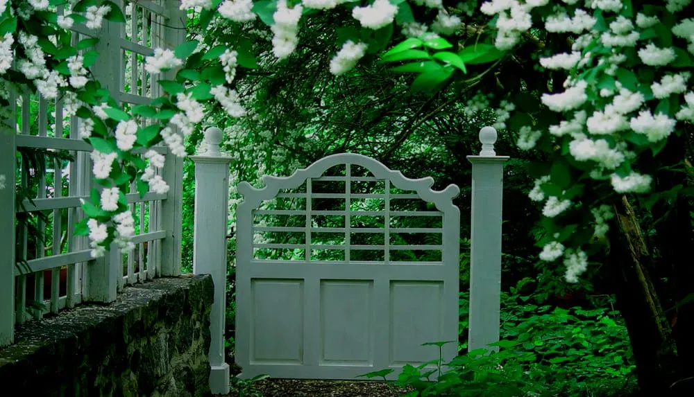 Trusted landscaping services for residential properties across Meadville, PA - Trace Lawn & Landscaping