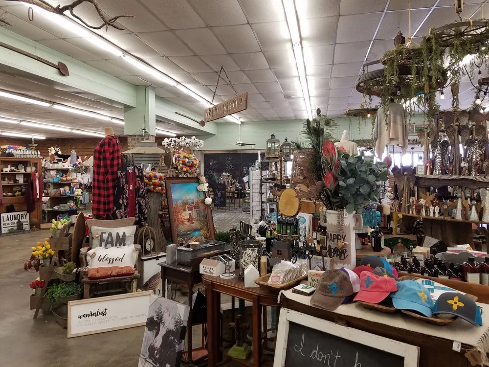 Professional landscape design for outdoor upgrades across Clovis, NM - Traci's Greenhouse