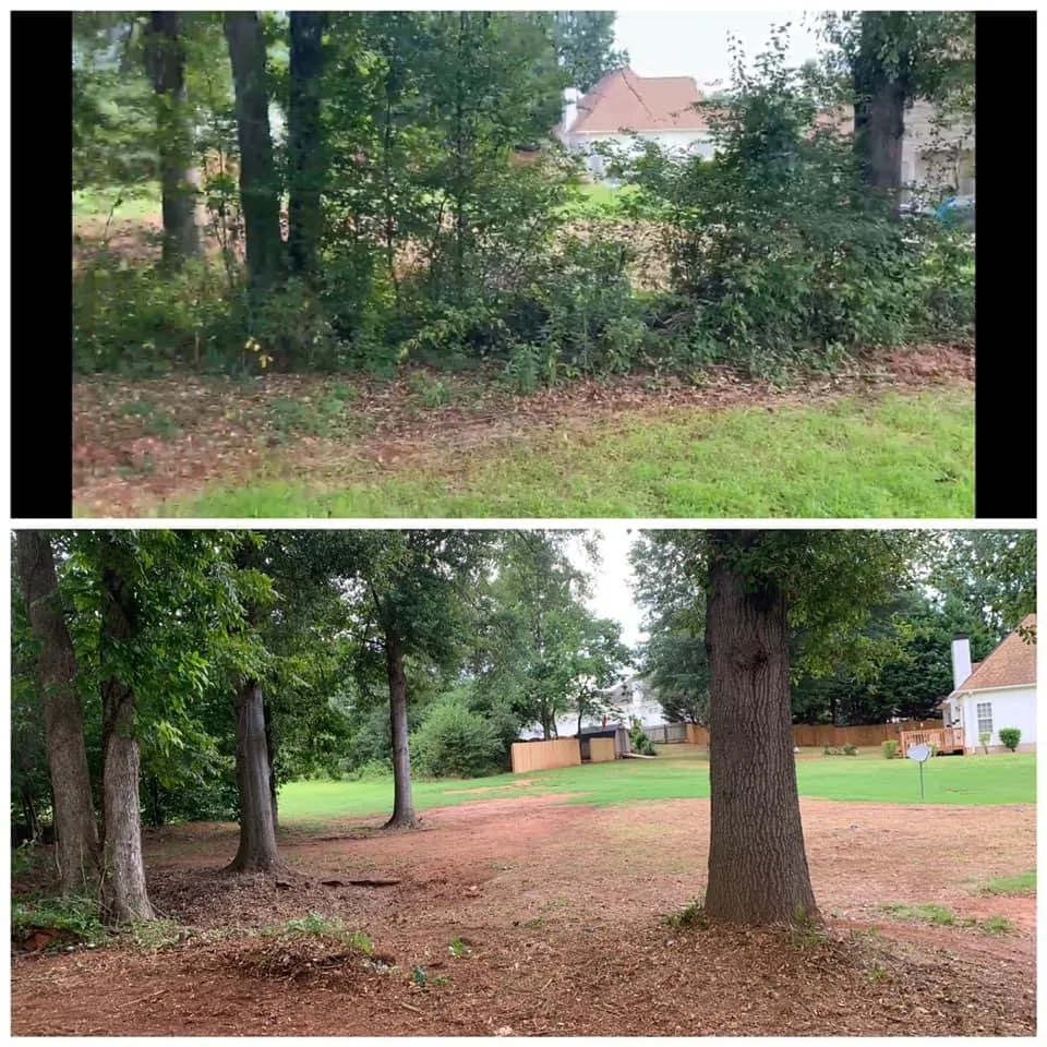 Reliable yard cleanup service for homes in McDonough, GA by TRACS Tree And Lawn Services